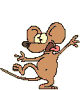 mouse2rrrr
